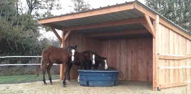 Abris pour chevaux - LES BOIS DEBOUT